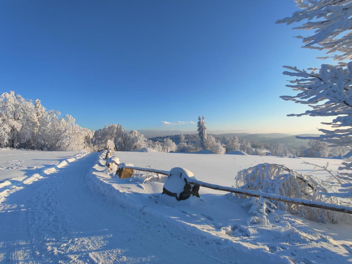 Wrzosowy Dwor - Spa Skomielna Czarna Esterno foto