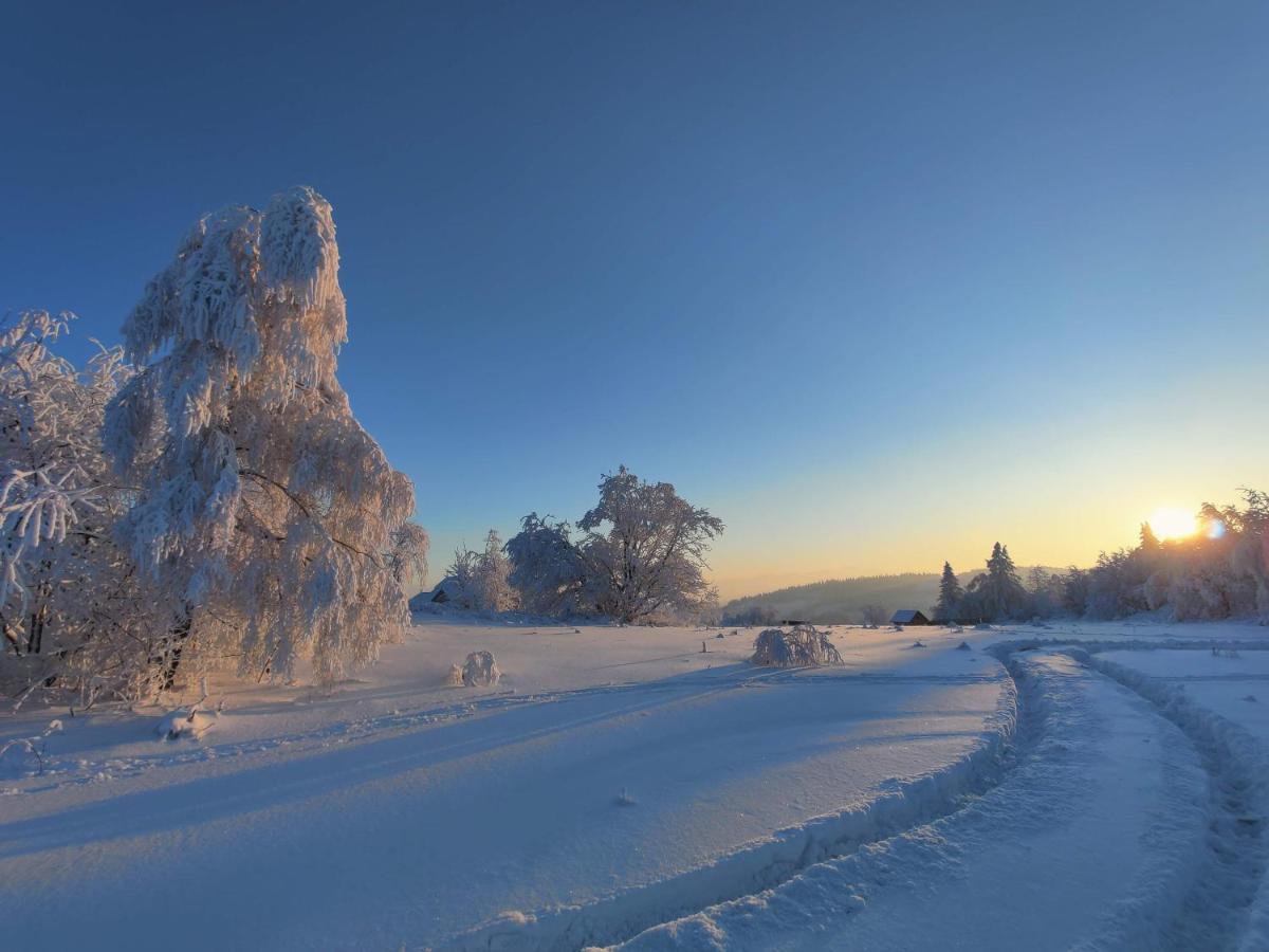 Wrzosowy Dwor - Spa Skomielna Czarna Esterno foto